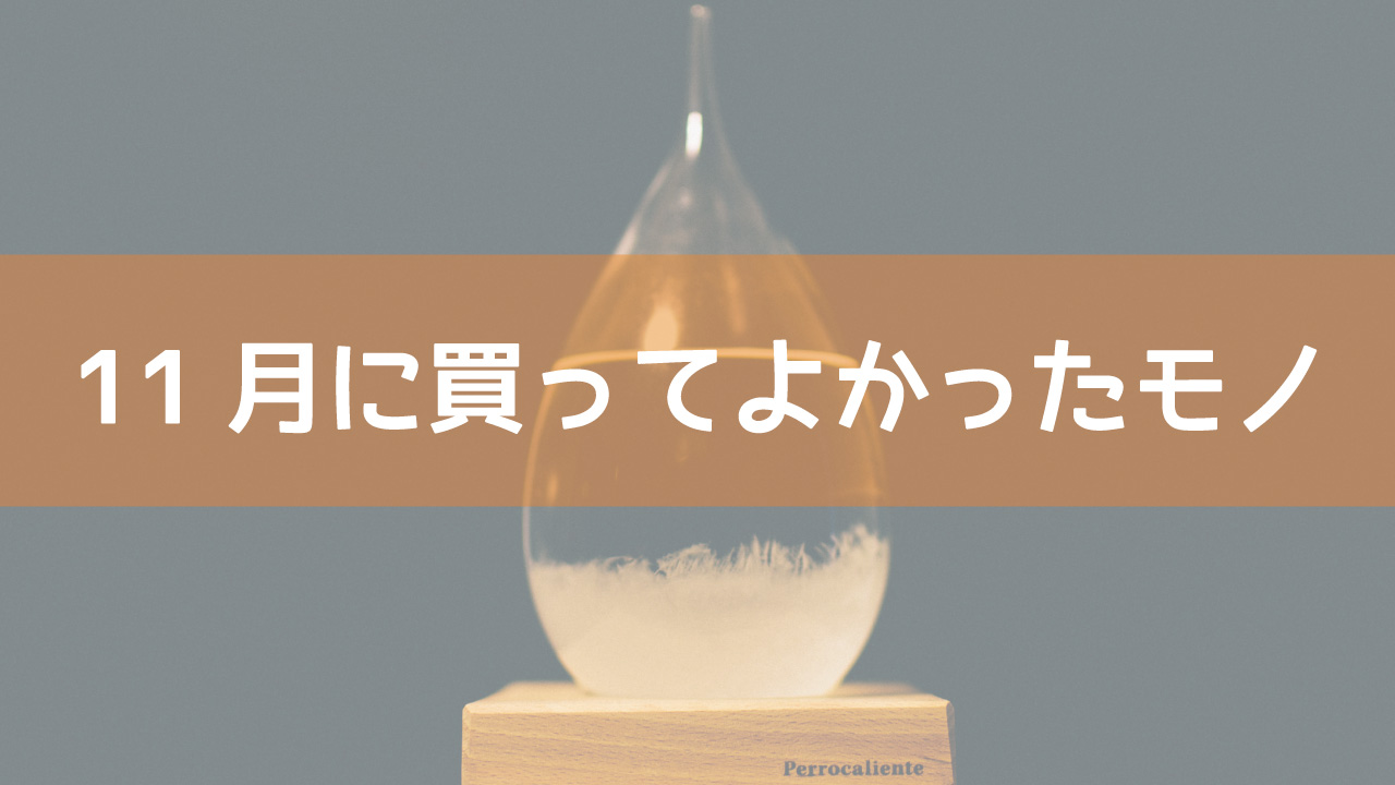 11月に買ってよかったモノ